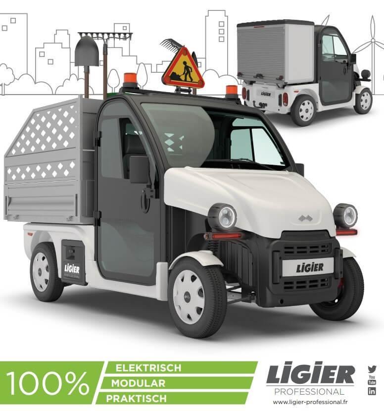 Ligier Professional Seite 1